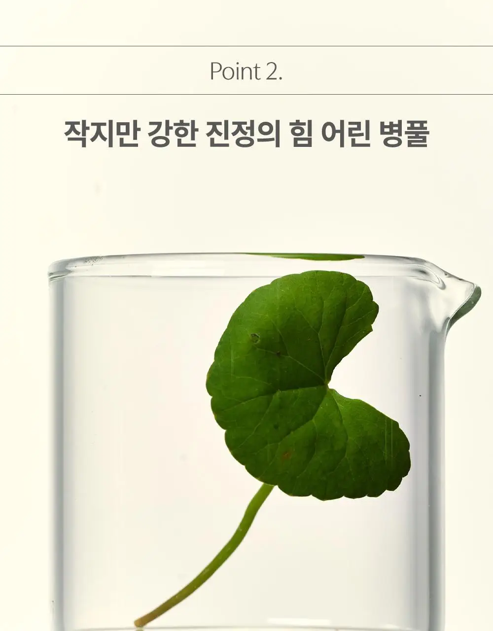 [1등 초밀착 겔/단독기획] 러븀 겔 마스크 4매 (어린시카/PDRN/그린시트러스/유자) 상세페이지 61